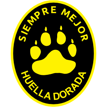 Máxima Superación